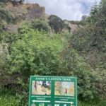 Solana Beach: Guided Hiking/Bike Tour to Annies Canyon - The Experience in Detail