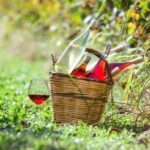 Solvang: Santa Ynez Valley Wine Tours w/ Lunch & Tastings - Why This Tour Works Well