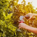 Sonoma County: Tasting Pass (Choose 1, 2, or 90 Days) - The Bottom Line