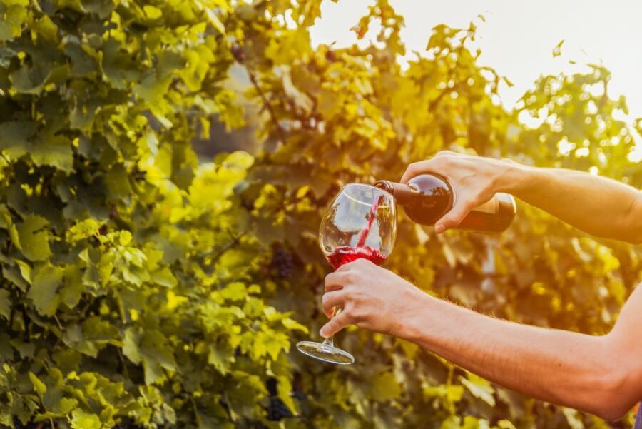 Sonoma County: Tasting Pass (Choose 1, 2, or 90 Days) - The Bottom Line