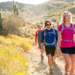 Sonoran Desert Guided Hike - Who Will Love This Tour?