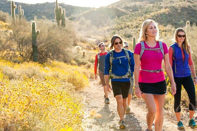 Sonoran Desert Guided Hike - Who Will Love This Tour?