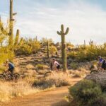 Sonoran Desert Guided Mountain Bike Tour - Who Will Enjoy This Tour?