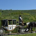 Sparkling carriage ride through Krems and the Wachau vineyards - The Itinerary: A Closer Look