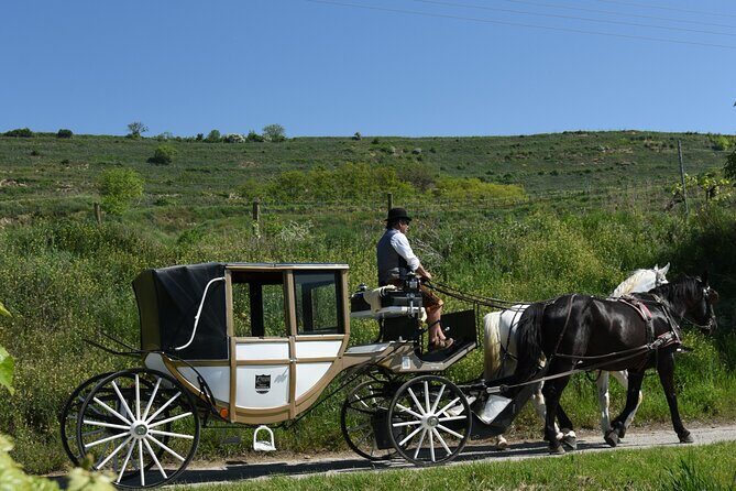 Sparkling carriage ride through Krems and the Wachau vineyards - The Itinerary: A Closer Look