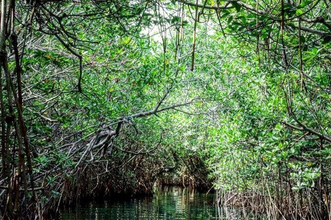 Speedboat and Snorkeling Adventure in Cancun - The Guided Tour Experience