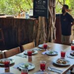 Speedboat Tour, Snorkel & Drinks - The Pros and Cons Based on Traveler Feedback