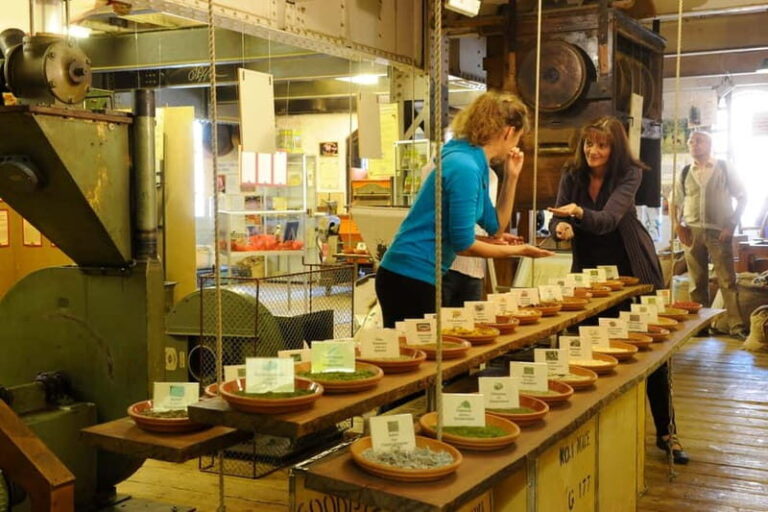 Spicy's Gewürzmuseum Entry Ticket and Audio Guide - The Exhibits and Sensory Experience