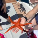 Split: 5 Islands Full-Day Tour to Blue Cave, Vis & Hvar - The Blue Cave: Nature’s Spectacle