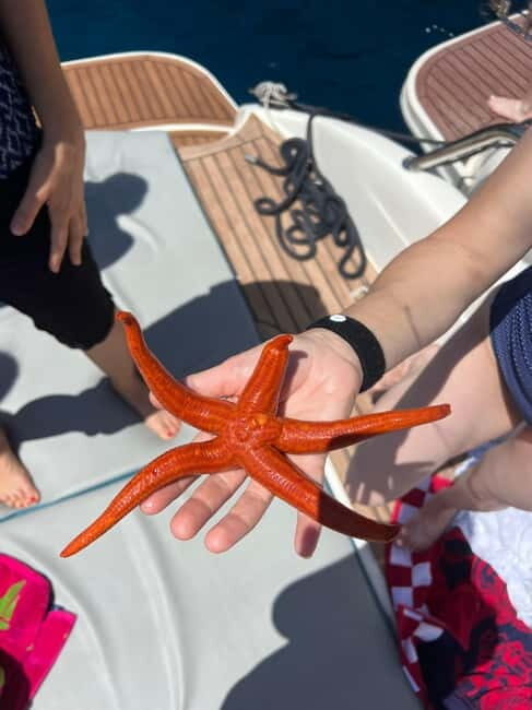 Split: 5 Islands Full-Day Tour to Blue Cave, Vis & Hvar - The Blue Cave: Nature’s Spectacle