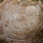 Split Diocletian's Palace & cellars Private Tour - Entrance incl. - Exploring Split’s Historic Heart: The Overview