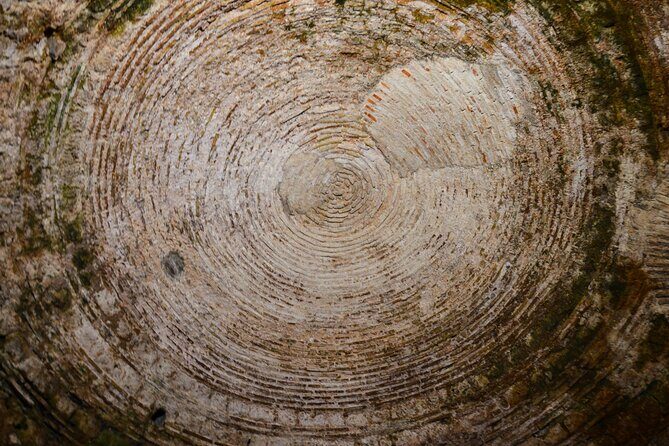 Split Diocletian's Palace & cellars Private Tour - Entrance incl. - Exploring Split’s Historic Heart: The Overview