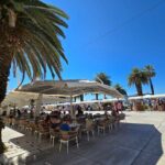 Split Through the Ages: History, Culture and Local Flavors Tour - The Experience’s Practicalities: What You Need to Know