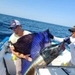 Sport fishing in mazatlan - What’s Included and What to Bring
