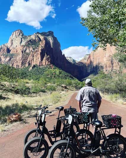Springdale: Guided eBike Tour in Zion National Park - Who Is This Tour Best Suited For?
