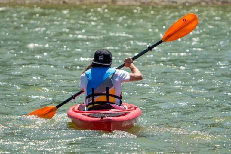 Squamish: 4 Hour Single Sit In Kayak Rental - What Makes This Kayaking Adventure Special?