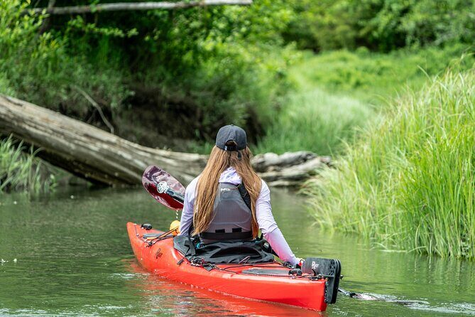 Squamish Full Day Expedition Kayak Rental - What Makes the Kayaking Experience Special