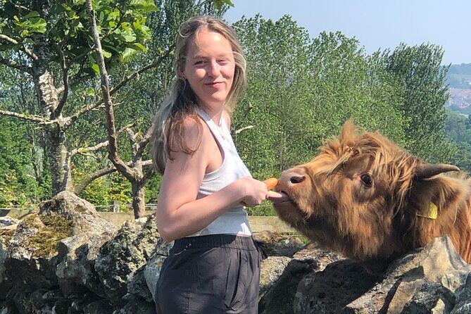 St Andrews & Fishing Villages of Fife Private Tour from Edinburgh - Final Thoughts: Is This Tour Right for You?