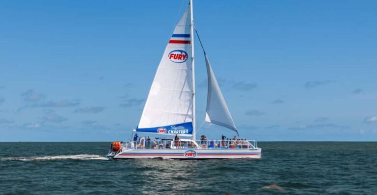 St. Augustine: Dolphin Watching Harbor Tour with Drinks - Practical Details and Value