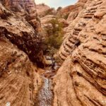 St. George: Jeep Exploration Slot Canyon & Rock Formations - Authentic Insights from Reviews