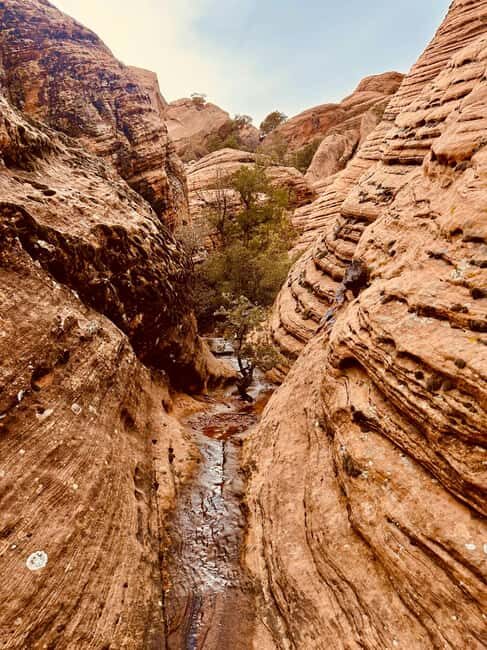 St. George: Jeep Exploration Slot Canyon & Rock Formations - Authentic Insights from Reviews