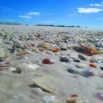 St. Petersburg, FL: 4-Hour Private Beach Tour - Is This Tour Worth It?