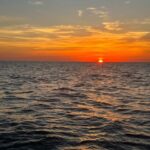 St. Petersburg, FL: Sunset & Skyway Bridge Lights Tour - Who Will Love This Tour?