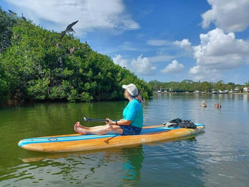 St. Petersburg: Paddle Board Tour with Wildlife Spotting - The Guides and Their Expertise