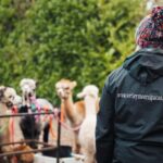 Staffordshire: Wetley Moor Alpaca Trekking Experience - FAQs
