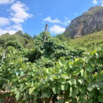 Stairway to Heaven ! Peacefull Guest House near the center ! - Practicalities: What You Need to Know