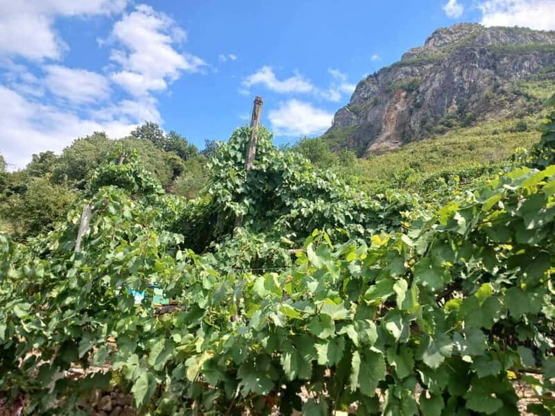 Stairway to Heaven ! Peacefull Guest House near the center ! - Practicalities: What You Need to Know