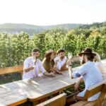 Stancija Collis: A Private Winery adventure in Rovinj - The Details of the Private Winery Experience at Stancija Collis