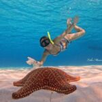 Star and Turtle Sanctuary Snorkeling Tour in Cozumel - Final Thoughts