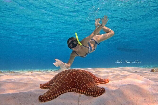 Star and Turtle Sanctuary Snorkeling Tour in Cozumel - Final Thoughts