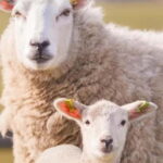 Stonehenge, Bath, Windsor, Cotswolds Villages - The Itinerary Breakdown and What to Expect