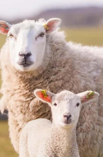 Stonehenge, Bath, Windsor, Cotswolds Villages - The Itinerary Breakdown and What to Expect