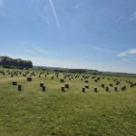 Stonehenge & Sacred Land Guided Driving Tour - What Makes This Tour Stand Out