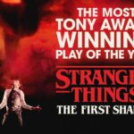 Stranger Things: The First Shadow on Broadway Ticket - Who Would Enjoy This Tour?