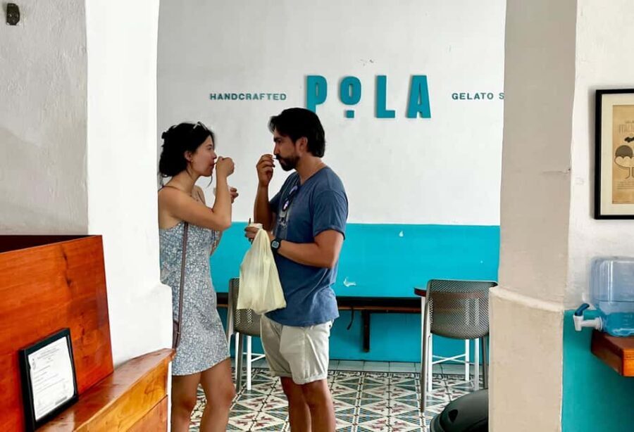 Street Food Walking Tour in Merida - The Practical Side: What You Need to Know