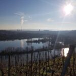 Stuttgart: 4-castle winter hike with costume tour - What’s Included and How It Adds Value