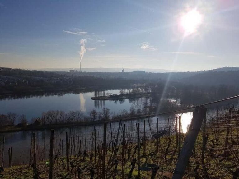 Stuttgart: 4-castle winter hike with costume tour - What’s Included and How It Adds Value