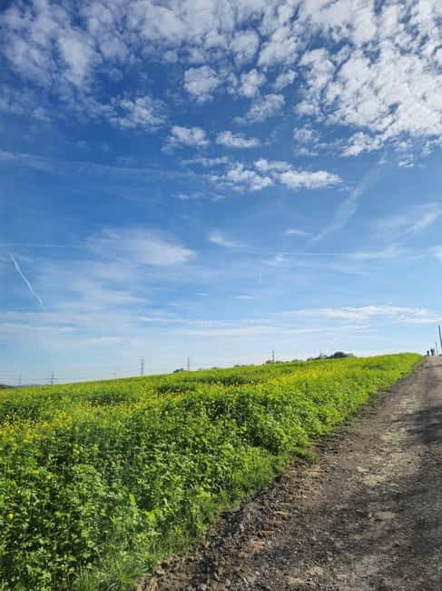 Stuttgart: Boßeltour with guide - The Course and Format