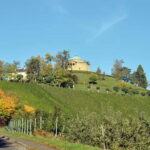 Stuttgart: E-bike wine tour including tasting - An In-Depth Look at the Stuttgart E-bike Wine Tour