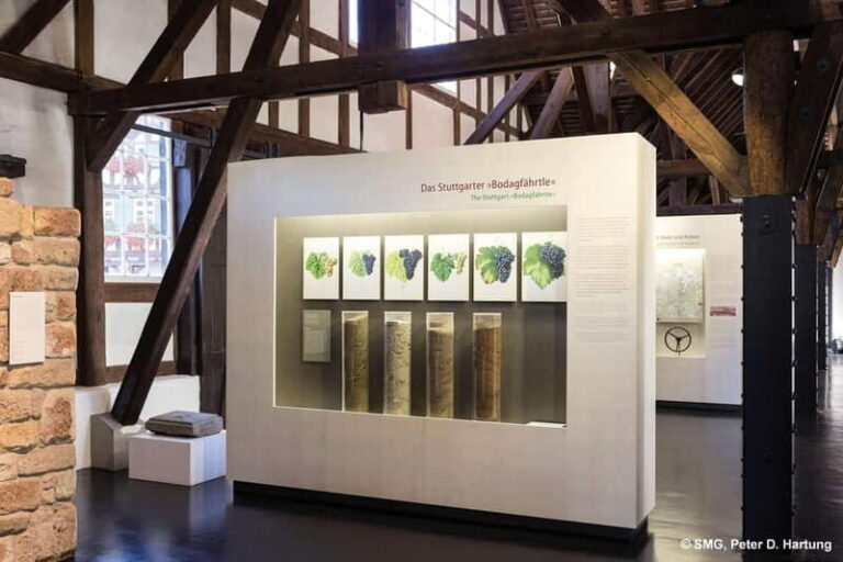 Stuttgart: Taster tour of the Wine Museum incl. 0.1 l wine - The Highlight: Tasting 0.1 Liters of Local Wine