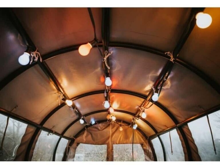 Stuttgart: Winter sleigh covered wagon tour - Who Will Love This Tour?