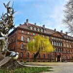 Stutthof Concentration Camp and Museum of WWII: Private Tour - Who Should Consider This Tour?