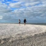 Sunrise and Shine 10,000 Islands Shelling Tour - The Itinerary: From Mangroves to Shelling Beaches