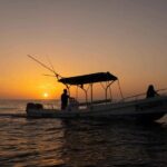 Sunrise with stars and Dolphin sighting in Puerto Escondido! - Who Should Consider This Tour?