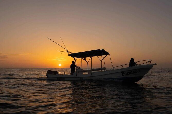 Sunrise with stars and Dolphin sighting in Puerto Escondido! - Who Should Consider This Tour?