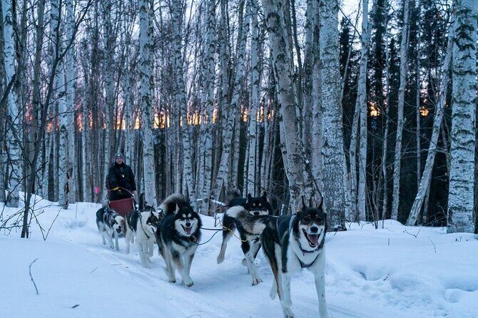 Sunset and Full Moon or Extended Ridge Top Mush - Authentic Insights from Reviews